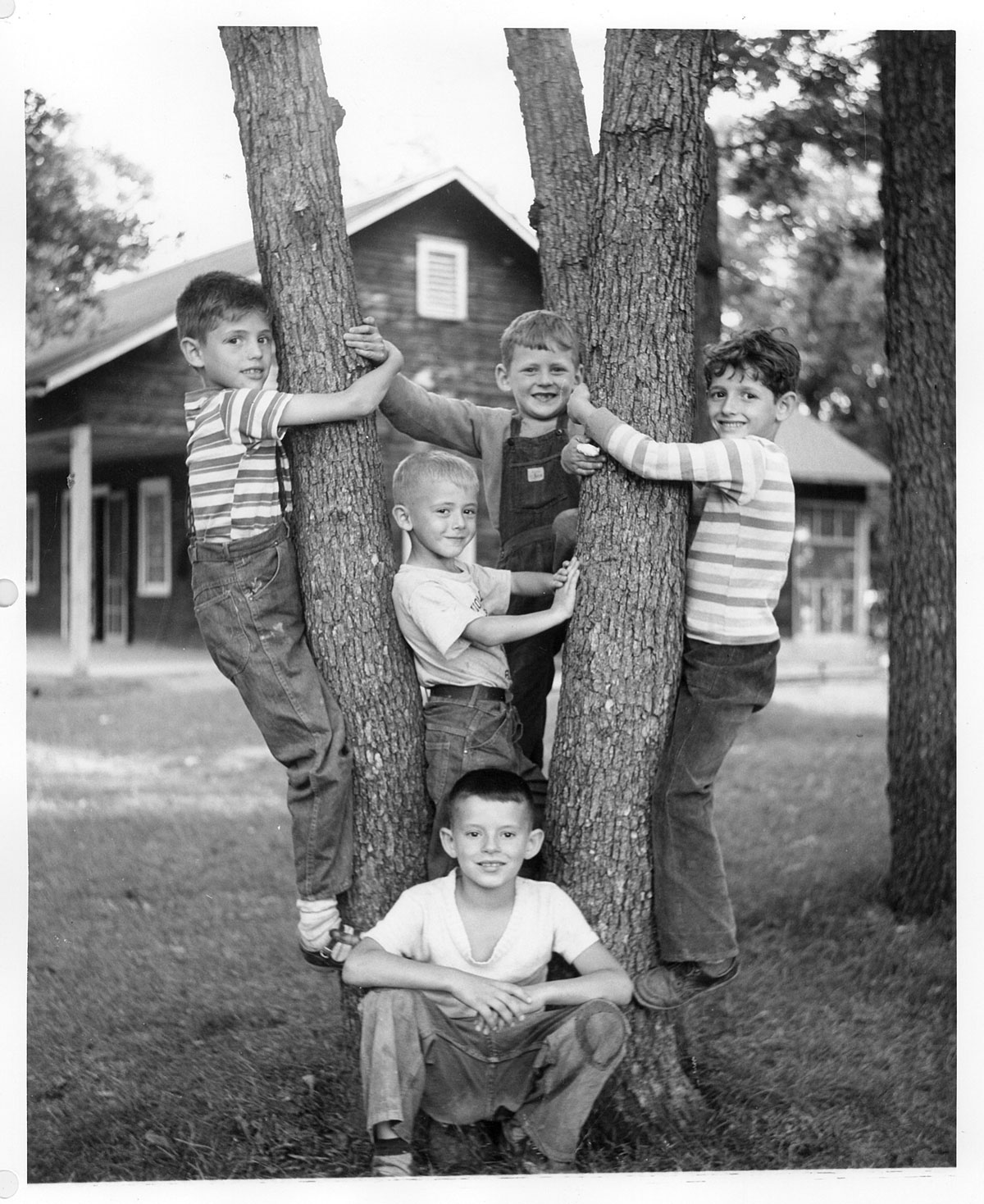 Union League Boys & Girls Club - 100th Anniversary - Our Archives - 1950s kids camp tree